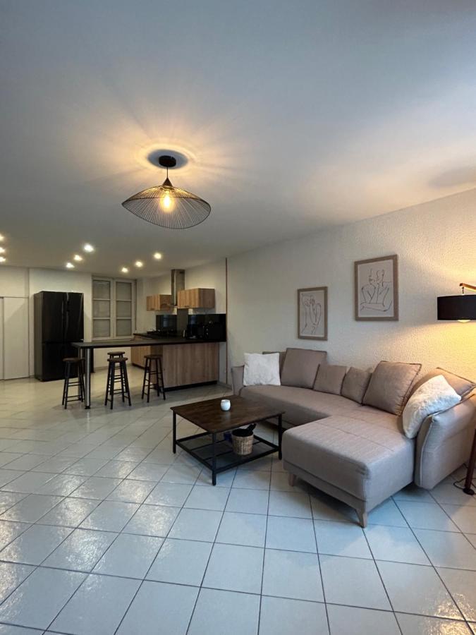 Appartement Hyper Centre Diamerisma Charleville-Mézières Dış mekan fotoğraf